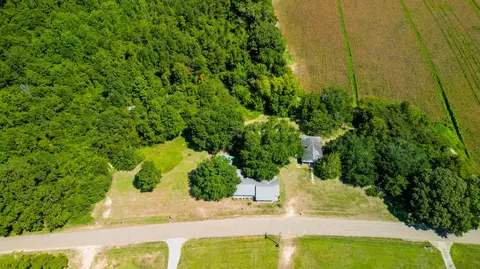 View/Area - 6877 Union Rd, Richton, MS 39476 photo 3 of 4