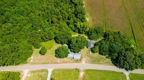 View/Area - 6877 Union Rd, Richton, MS 39476 photo 2 of 4
