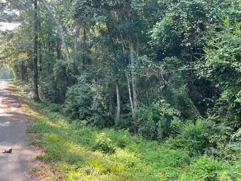 00 Rev R Powe Rd, Wiggins, MS 39577