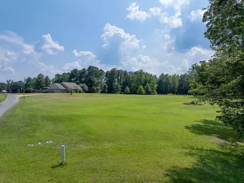 1 Acre Mol Aurthur Lucus Ln, Sumrall, MS 39482 photo 5