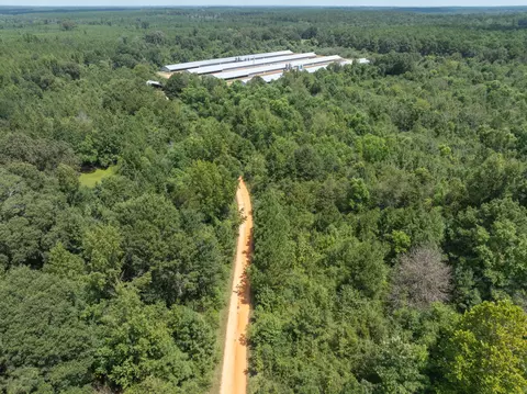111 Alex Daley Rd, Carson, MS 39427 photo 8