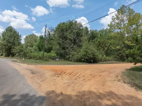 111 Alex Daley Rd, Carson, MS 39427 photo 3