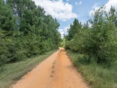 111 Alex Daley Rd, Carson, MS 39427 photo 7