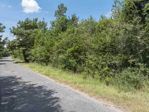 111 Alex Daley Rd, Carson, MS 39427 photo 18