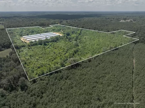 111 Alex Daley Rd, Carson, MS 39427 photo 23