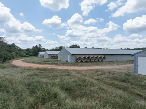 111 Alex Daley Rd, Carson, MS 39427 photo 13