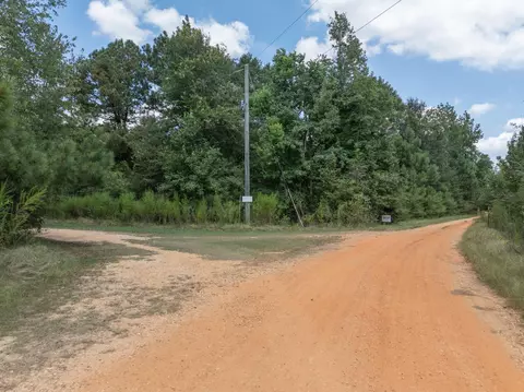 111 Alex Daley Rd, Carson, MS 39427 photo 4