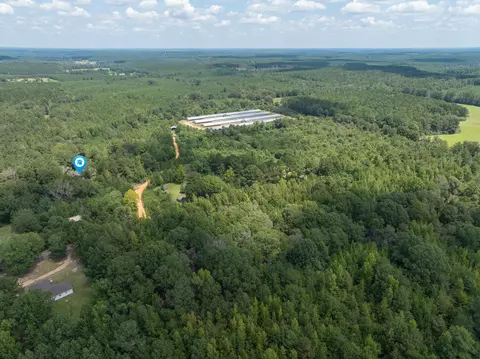 111 Alex Daley Rd, Carson, MS 39427 photo 24