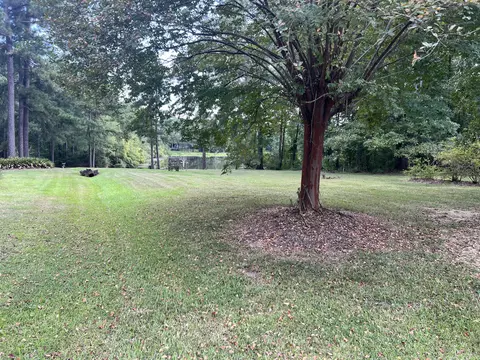 39 Melissa Lp, Petal, MS 39465 photo 17