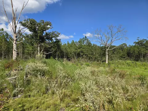 000 Sapphire Dr, Purvis, MS 39475