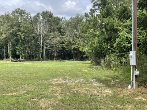 tbd Alexander Rd, Jayess, MS 39641 photo 6