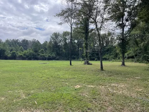 tbd Alexander Rd, Jayess, MS 39641 photo 13