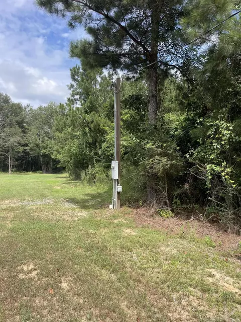 tbd Alexander Rd, Jayess, MS 39641 photo 3