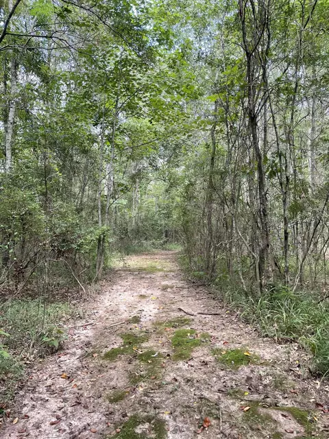 tbd Alexander Rd, Jayess, MS 39641 photo 7