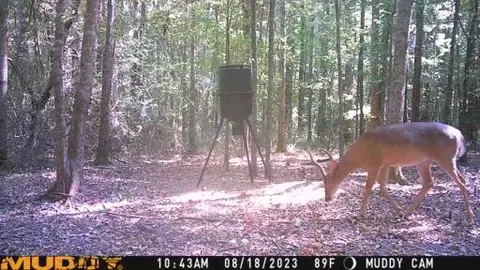 tbd Alexander Rd, Jayess, MS 39641 photo 15