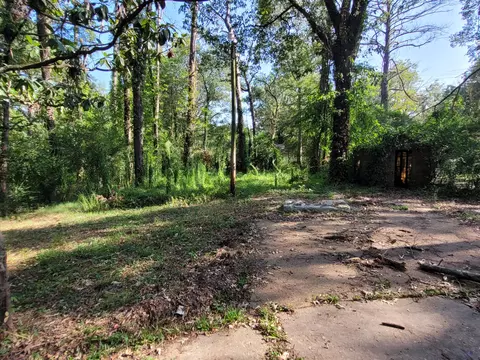 519 Oriole Dr, Jackson, MS 39204 photo 9