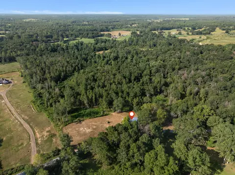 917 Scr66, Mize, MS 39116 photo 17