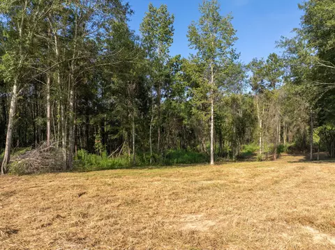 917 Scr66, Mize, MS 39116 photo 9