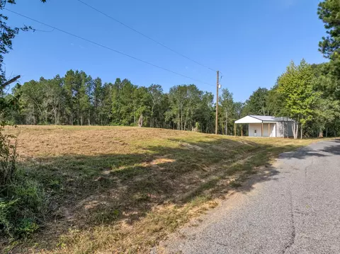917 Scr66, Mize, MS 39116 photo 4