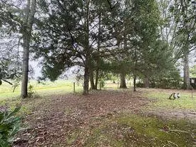 213 Brock Ave, Quitman, MS 39355 photo 7
