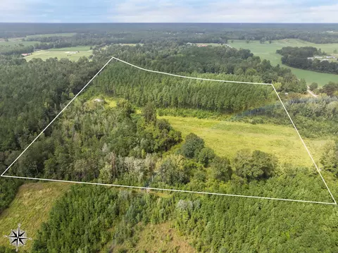 29 Acres Old Rifle Range Rd, Petal, MS 39465