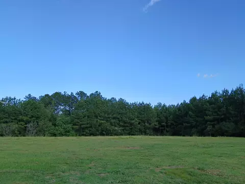 Other - 1260 S Highway 35, Sandy Hook, MS 39478 photo 2 of 9