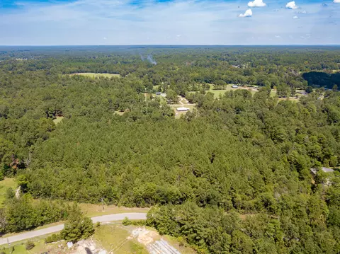 0 Chevis Lee Rd, Petal, MS 39465
