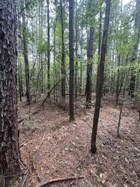 0 C L Slade Rd, Brooklyn, MS 39425 photo 2