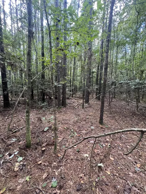 0 C L Slade Rd, Brooklyn, MS 39425 photo 3