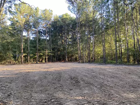 1 10 Acre Cottage View Dr, Ellisville, MS 39437