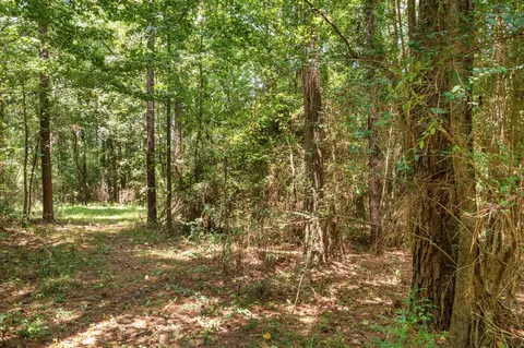220 Center Ave, Sumrall, MS 39482 photo 45