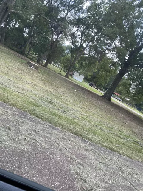 000 N Cherry Ave, Collins, MS 39428