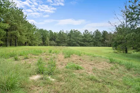 Exterior - 250 Forbes, Sandy Hook, MS 39478 photo 15 of 18
