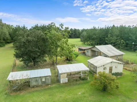 Exterior - 250 Forbes, Sandy Hook, MS 39478 photo 17 of 18