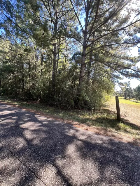 0 Bond Cir, Sumrall, MS 39482 photo 3