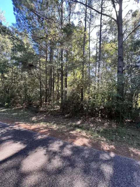 0 Bond Cir, Sumrall, MS 39482 photo 2