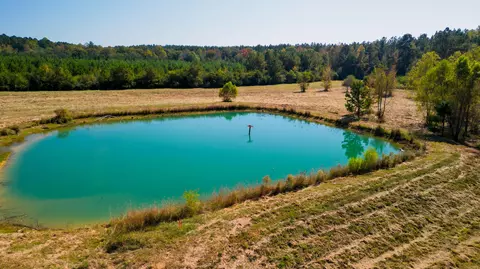 00 Doc Gore Rd, Sumrall, MS 39482 photo 20