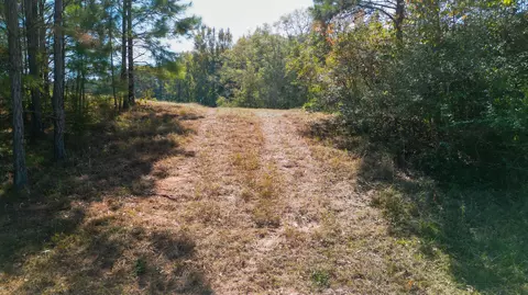 00 Doc Gore Rd, Sumrall, MS 39482 photo 18