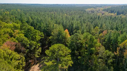00 Doc Gore Rd, Sumrall, MS 39482 photo 15