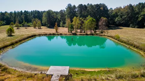 00 Doc Gore Rd, Sumrall, MS 39482 photo 3