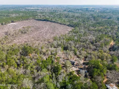 176 Hester Loop, Perkinston, MS 39573 photo 3