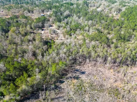 176 Hester Loop, Perkinston, MS 39573 photo 13