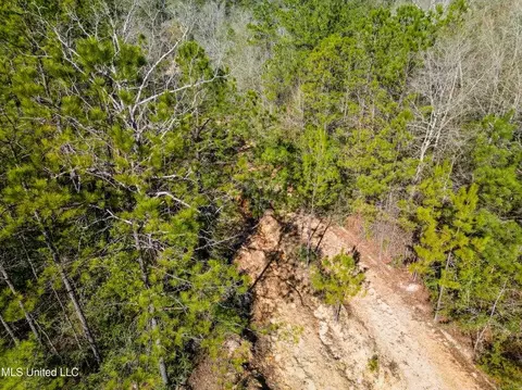 176 Hester Loop, Perkinston, MS 39573 photo 8
