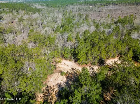 176 Hester Loop, Perkinston, MS 39573 photo 6