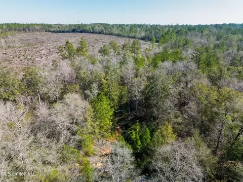 176 Hester Loop, Perkinston, MS 39573 photo 11