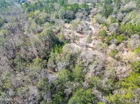 176 Hester Loop, Perkinston, MS 39573 photo 10