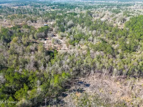 176 Hester Loop, Perkinston, MS 39573 photo 14