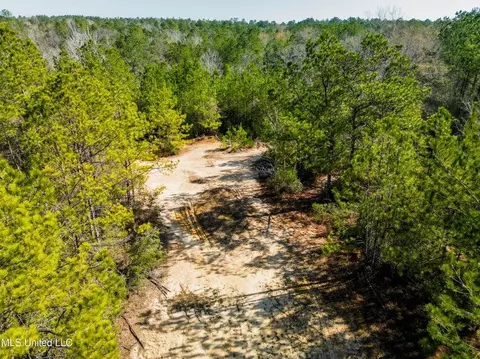 176 Hester Loop, Perkinston, MS 39573 photo 9