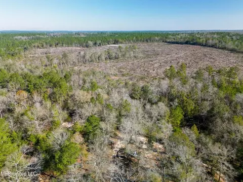 176 Hester Loop, Perkinston, MS 39573 photo 4