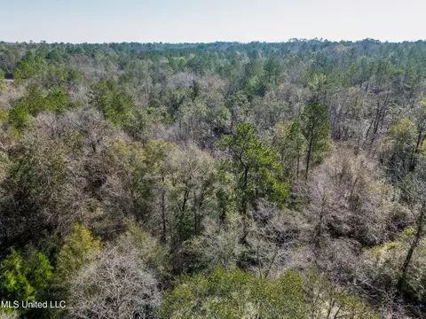 176 Hester Loop, Perkinston, MS 39573 photo 12